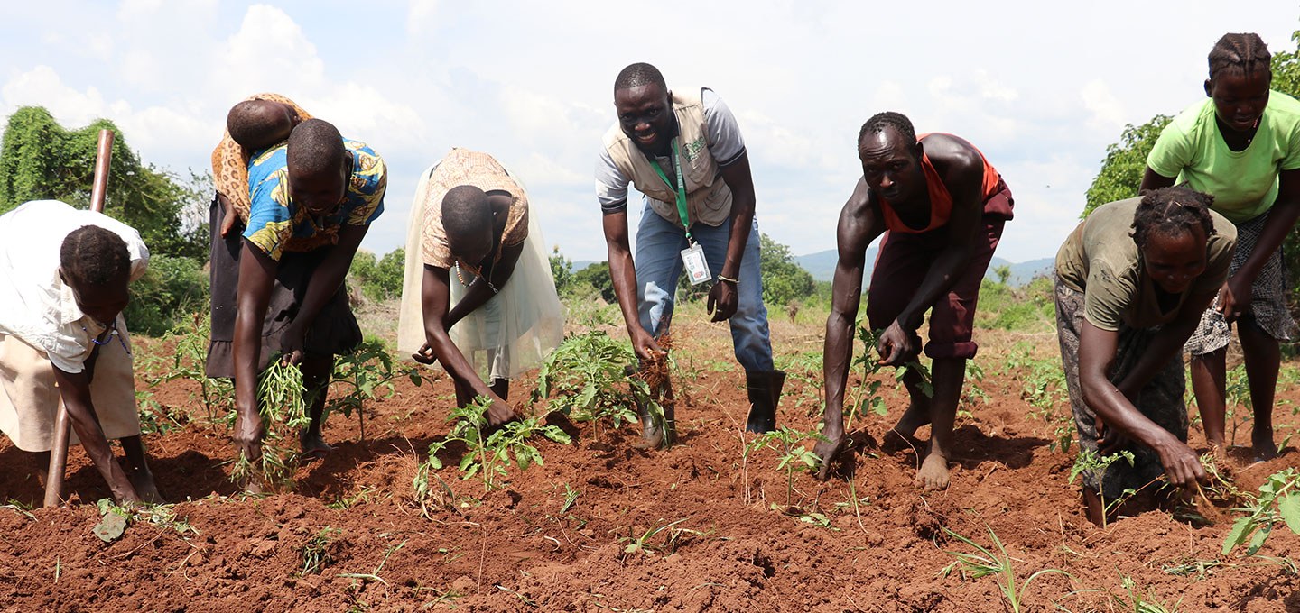 Header RICE WN Members of a group weed their kitchen garden together with the Project Officer
